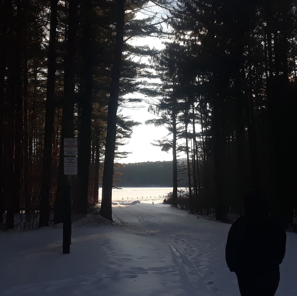 Meet your Posher, Nancy